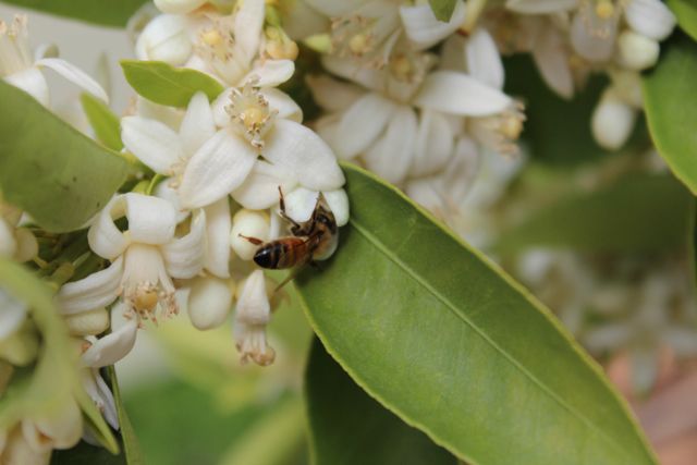 img_3218