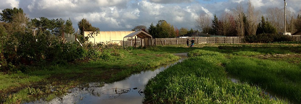 Site